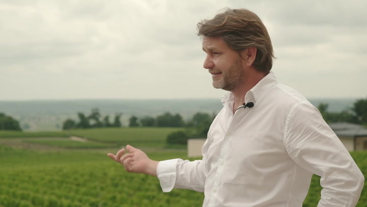 Estates of Bordeaux: At Troplong Mondot, the Power Comes for Free