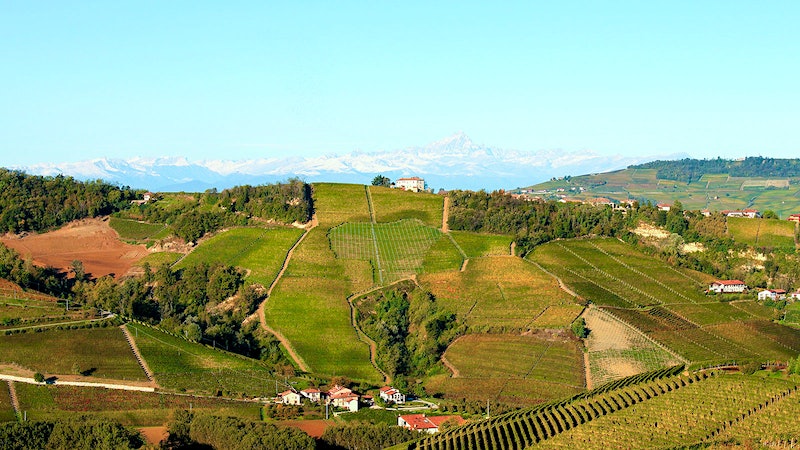 Shifting Gears at Massolino