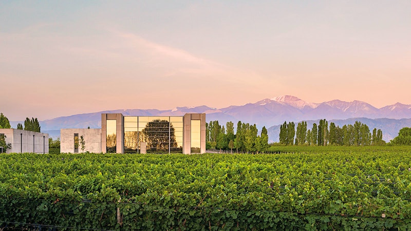 In the Land of Malbec