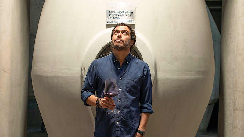 Zuccardi's Vision