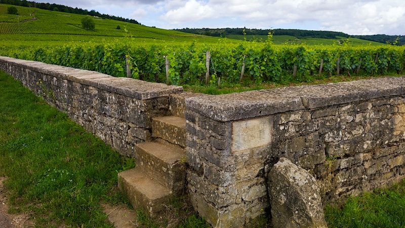 Serene Elegance: Domaine de la Romanée-Conti’s 2020 Lineup