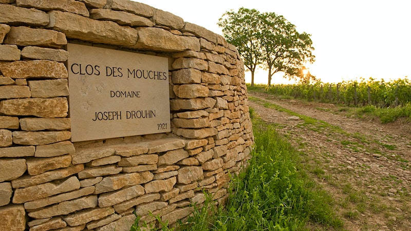 Joseph Drouhin’s Beaune Clos des Mouches Turns 100