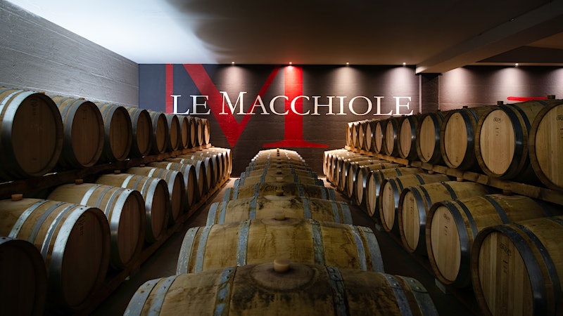 Le Macchiole’s Flagship Messorio Reveals the Graceful Side of Merlot