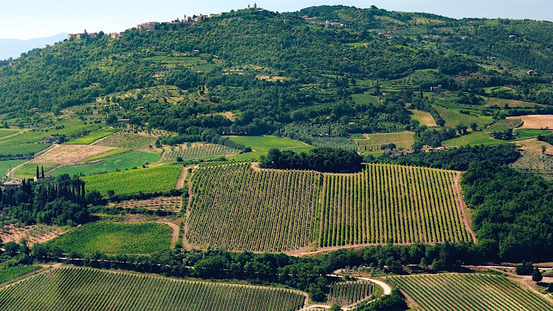 The Yin and Yang of Montosoli