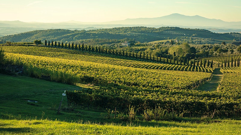 The Ultimate Guide to Chianti Classico