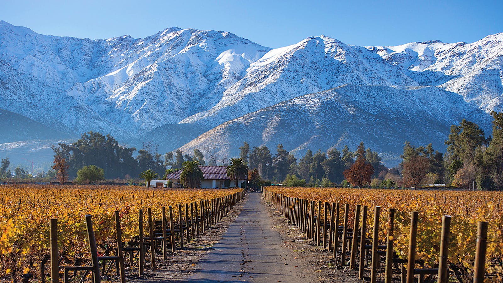 Alphabetical Guide to Chile