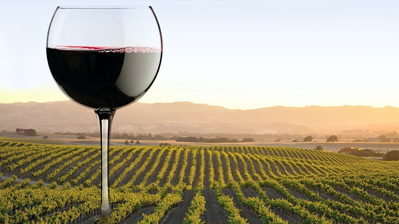 Wine in America