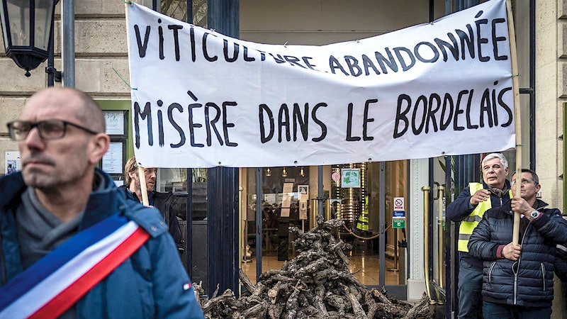 Bordeaux's Small Grapegrowers in Crisis