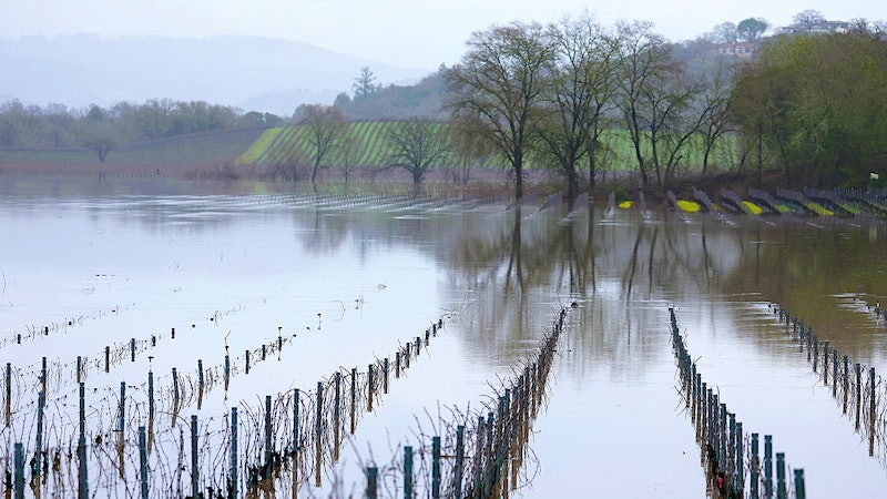 Storms Bring Relief, Woes for Growers