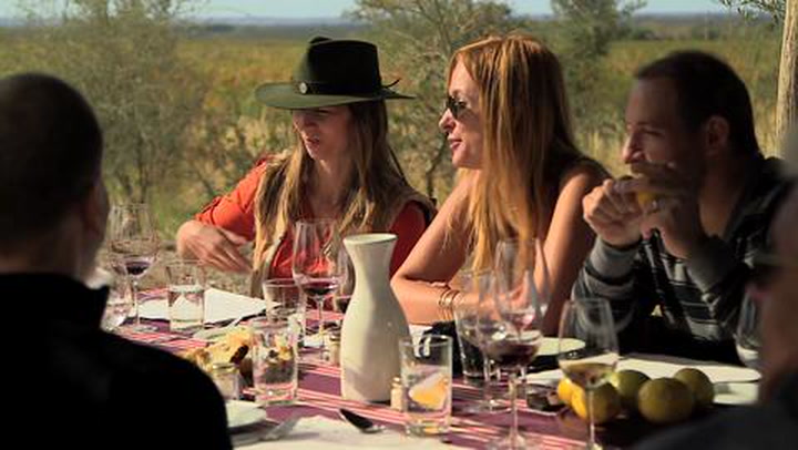 Vines - Unexplored Terroir