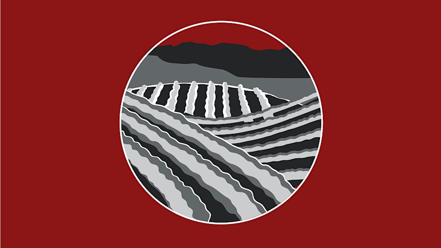 Image for the article titled:What Are Biodynamic Wine Grapes?