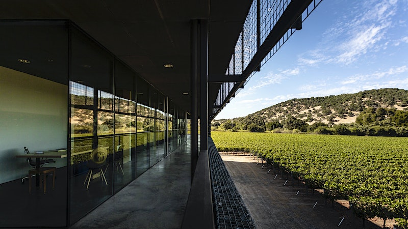 At Dominus Estate, a Green Oasis in Drought-Wracked Napa Valley