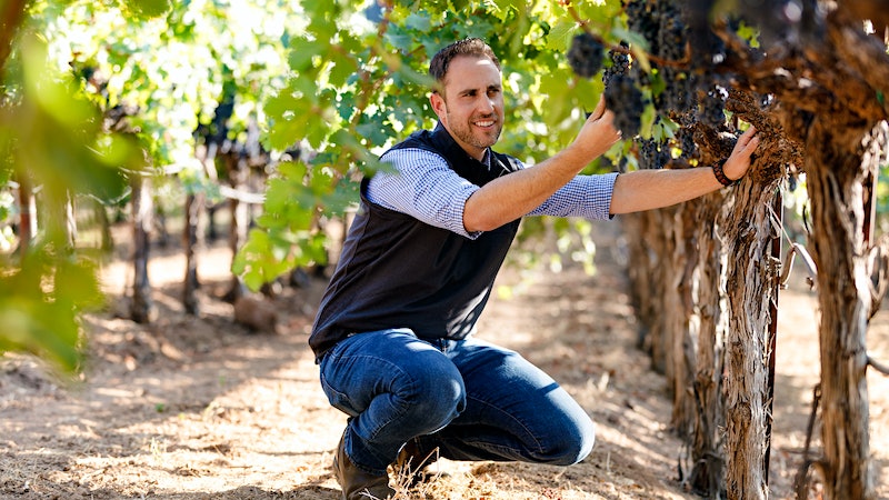 New Beaulieu: Righting the Ship at a Napa Cabernet Legend