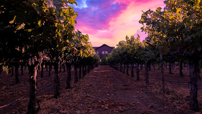 Napa's Salvestrin Family Carries the Legacy of Dr. Crane