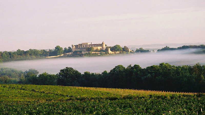An Ode to White Bordeaux