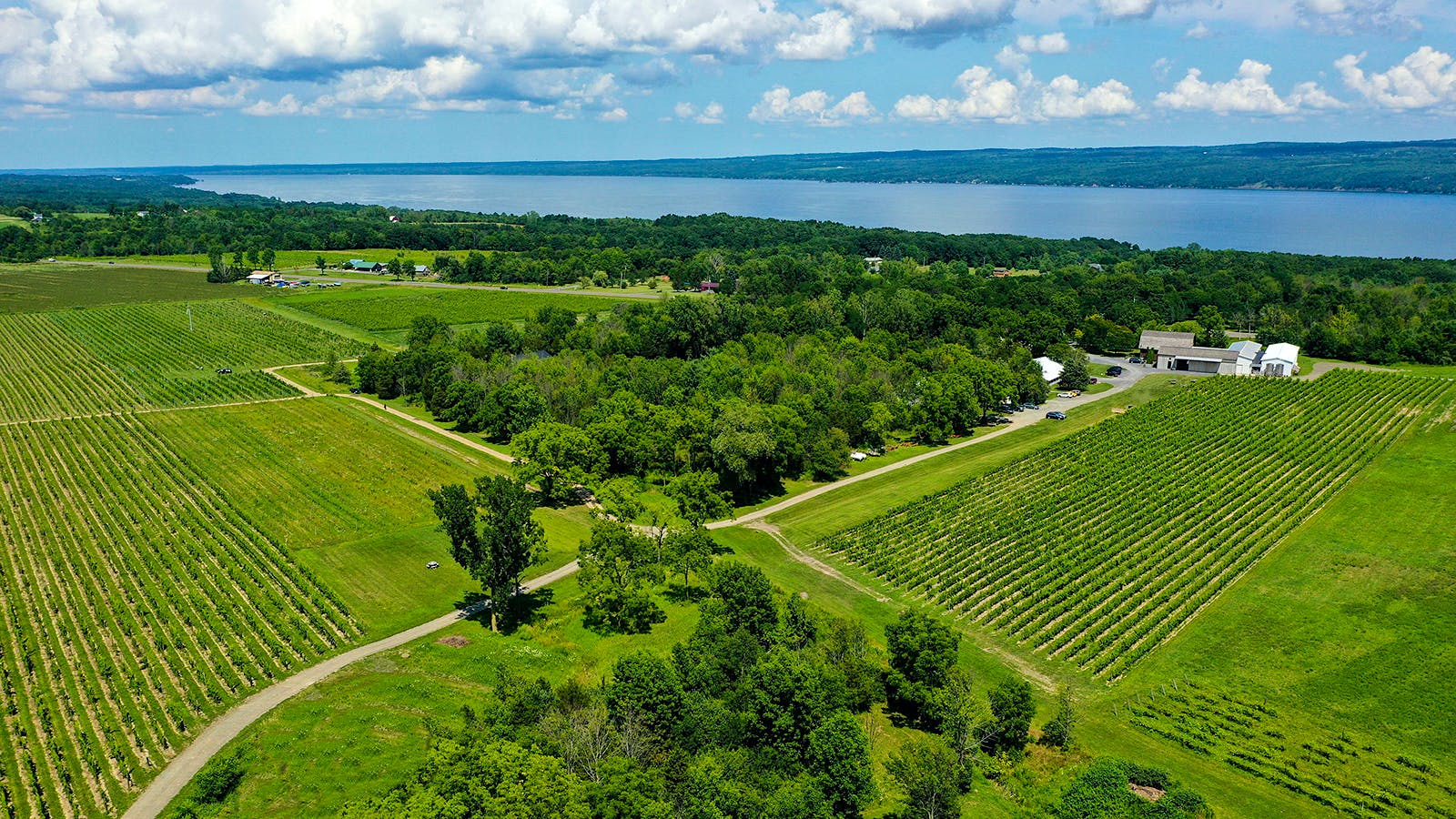 Farming at the Edge at Hermann J. Wiemer
