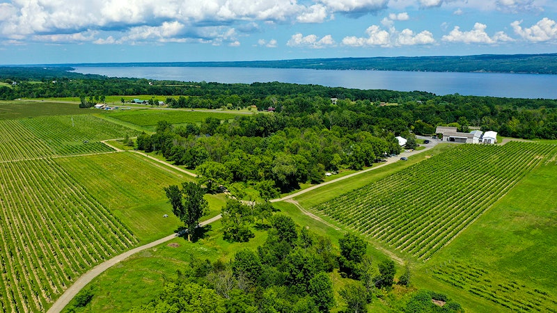 Farming at the Edge at Hermann J. Wiemer