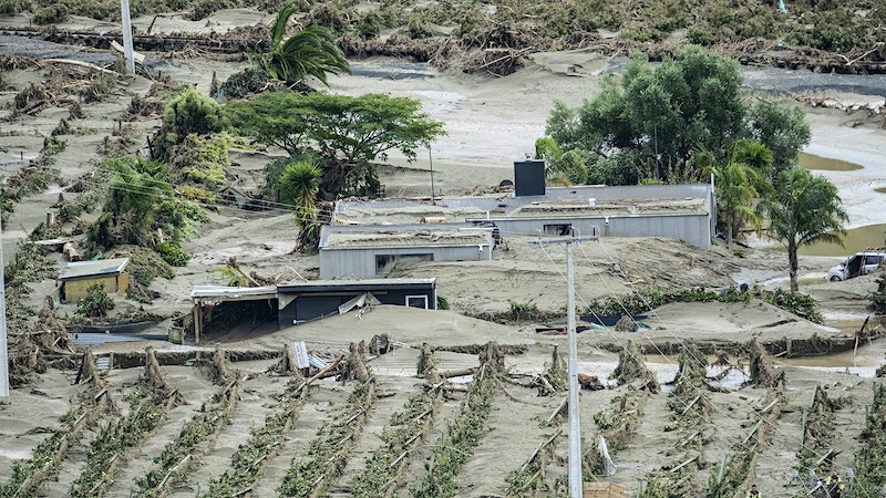 Following Cyclone Gabrielle, New Zealand Winemakers Assess Damage, Prepare for Harvest