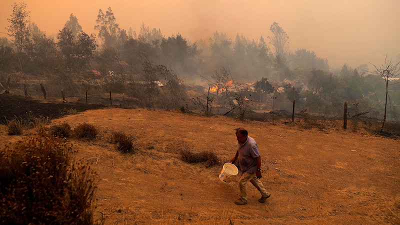 Wildfires Threaten Some of Chile's Oldest Vines