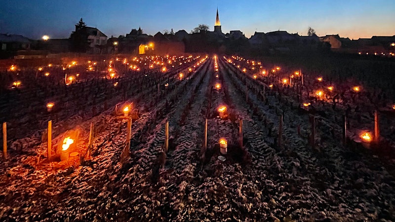 2021 Burgundy Preview: The Jack Frost Vintage
