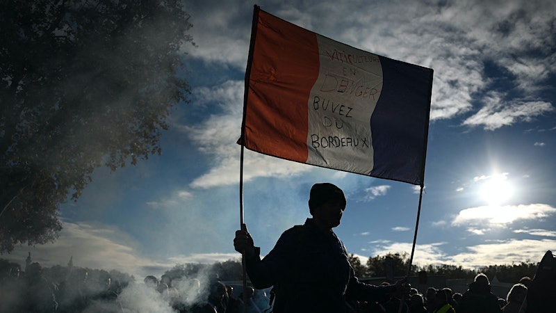 French Government Offers Aid to Struggling Grapegrowers, but No Long-Term Solution