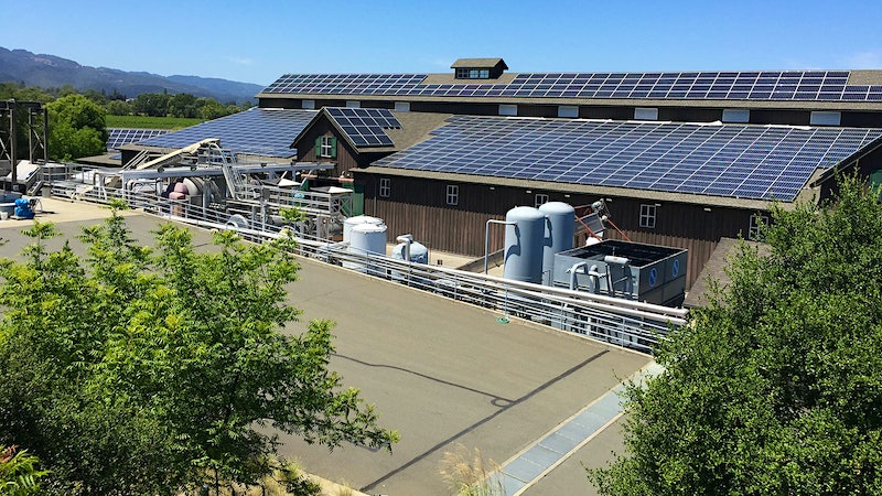 Jackson Family Pushes for Greater Action on Climate Change and Sustainability