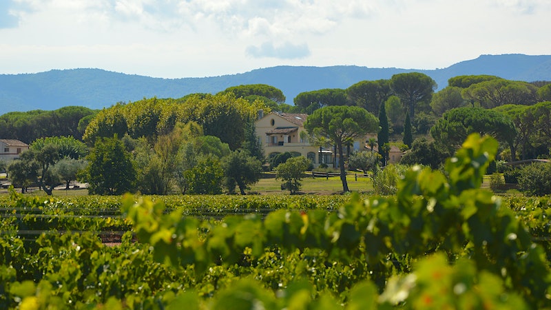 LVMH Decides One Top Provençal Rosé Brand Is Not Enough, Buys Into Château Minuty