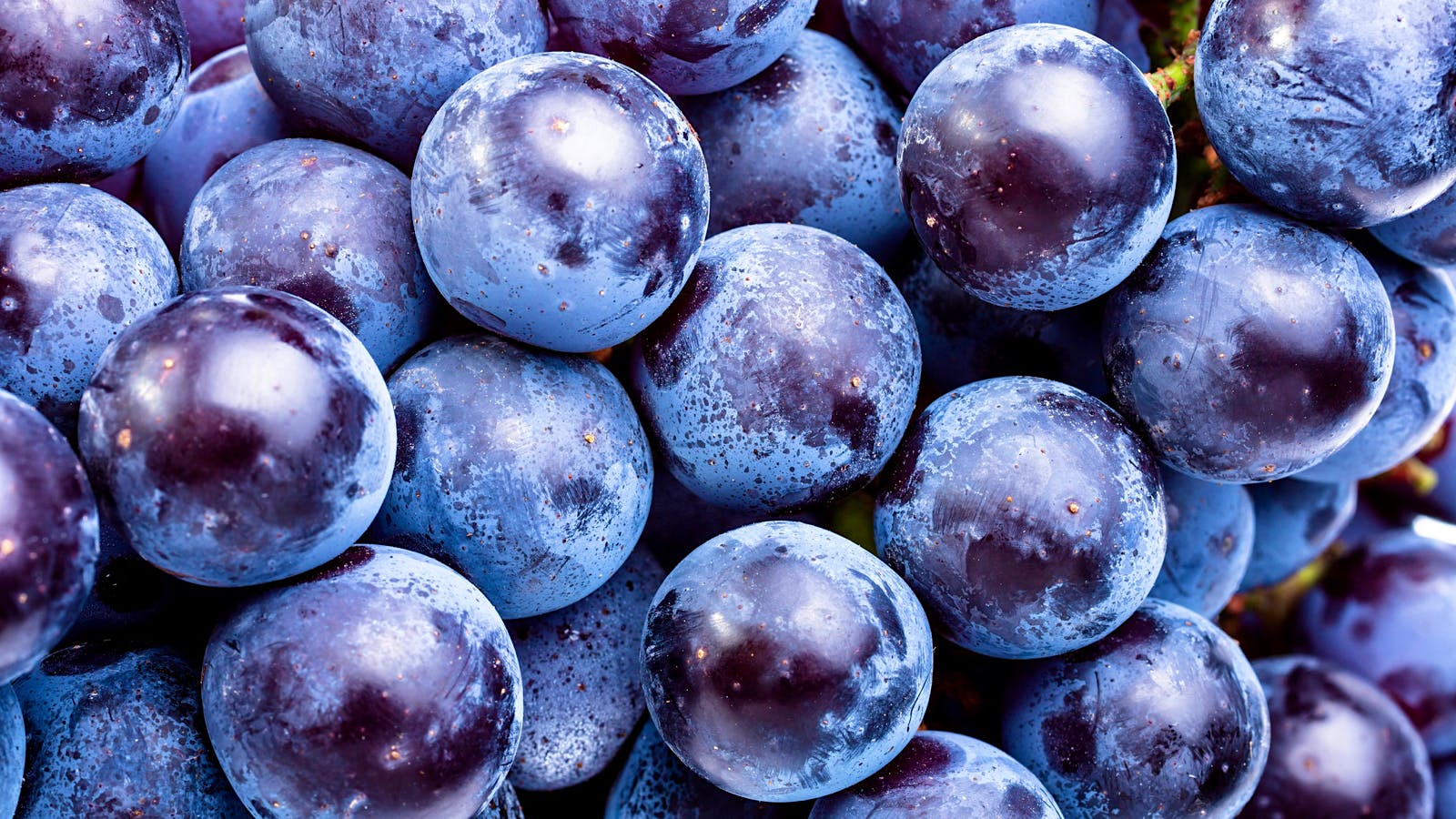 Wine Is Full of Healthy Polyphenols. But What's a Polyphenol?
