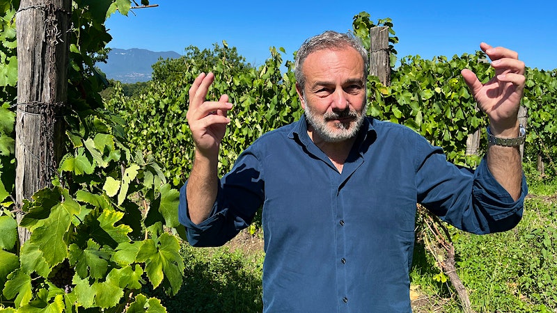 Aged Whites from Southern Italy?