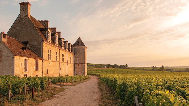 Burgundy Shifts Gears