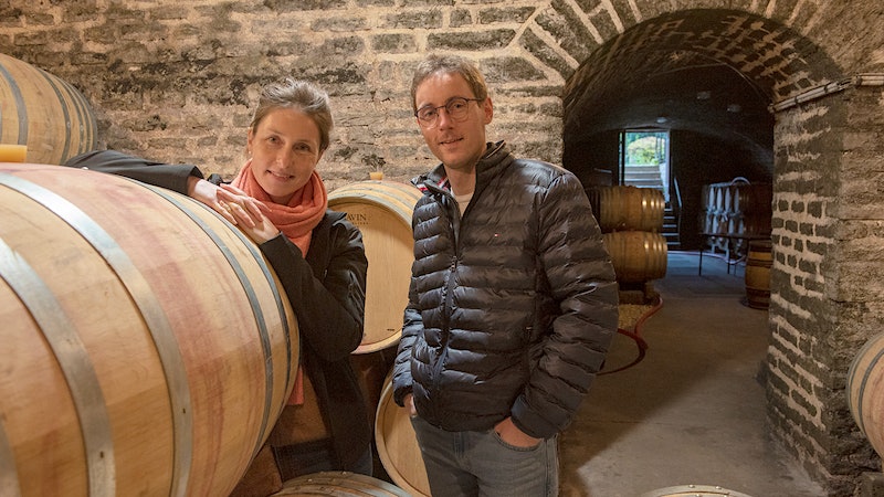 Alphabetical Guide to Burgundy Reds