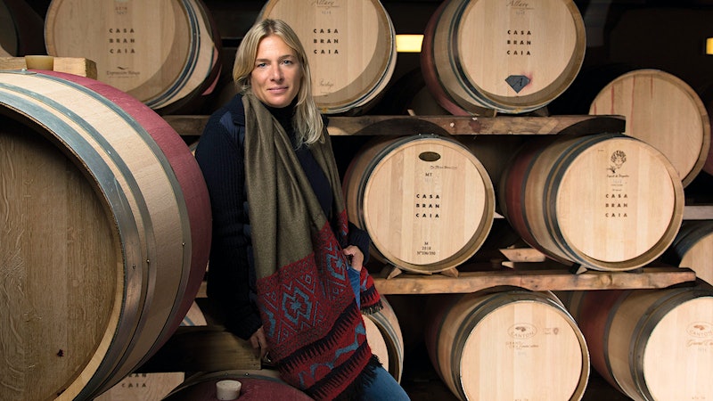 Tasting Brancaia’s Il Blu