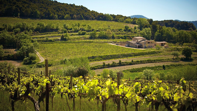 The Rhône Faces the Heat