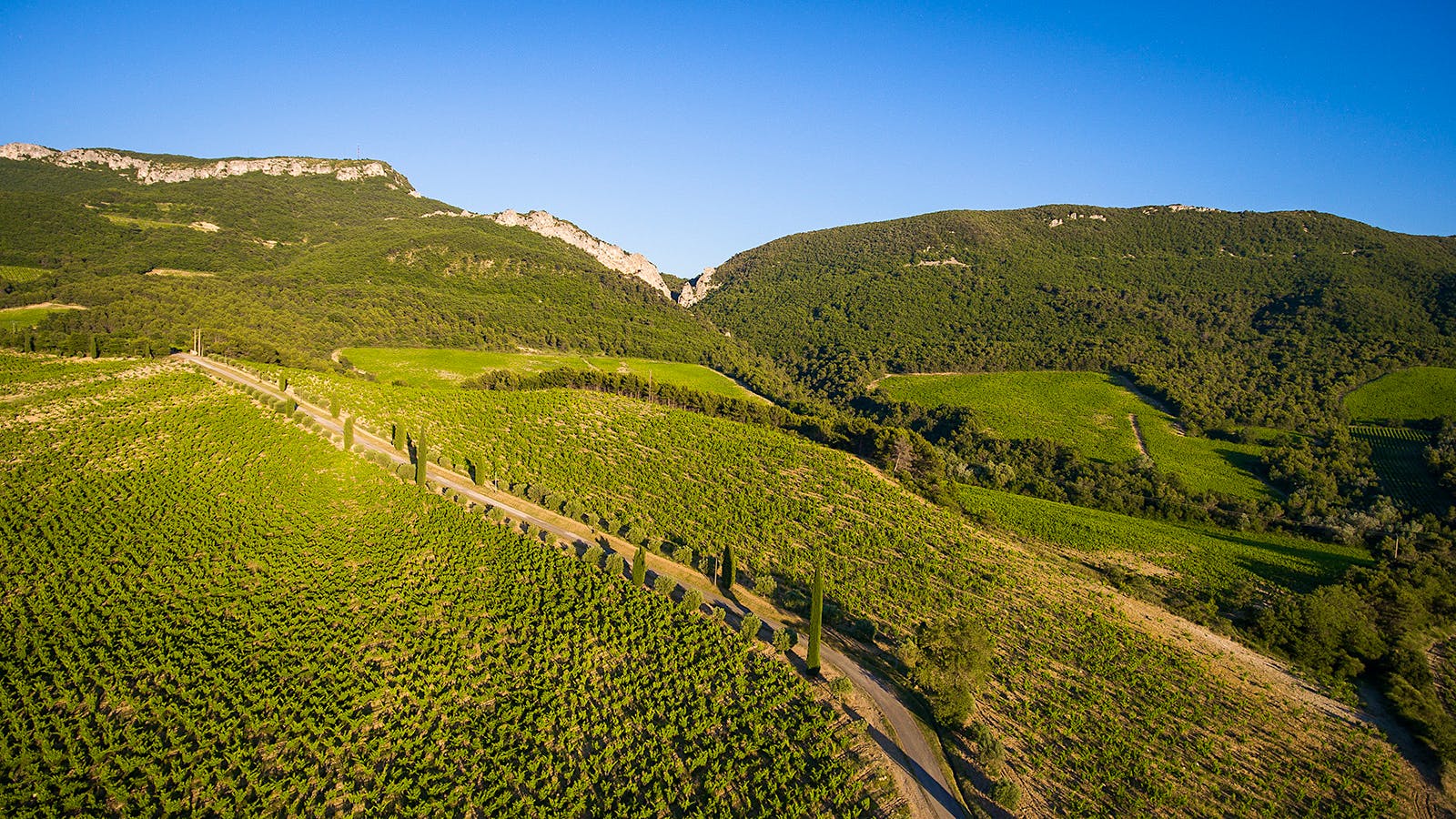 8 Tempting Southern Rhône Reds Up to 93 Points