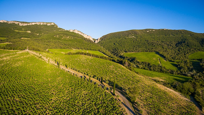 8 Tempting Southern Rhône Reds Up to 93 Points