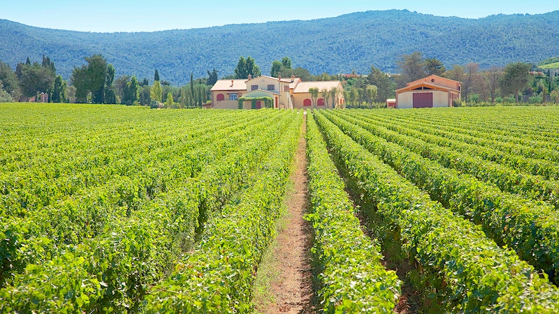 10 Gorgeous Italian Wines at 90+ Points