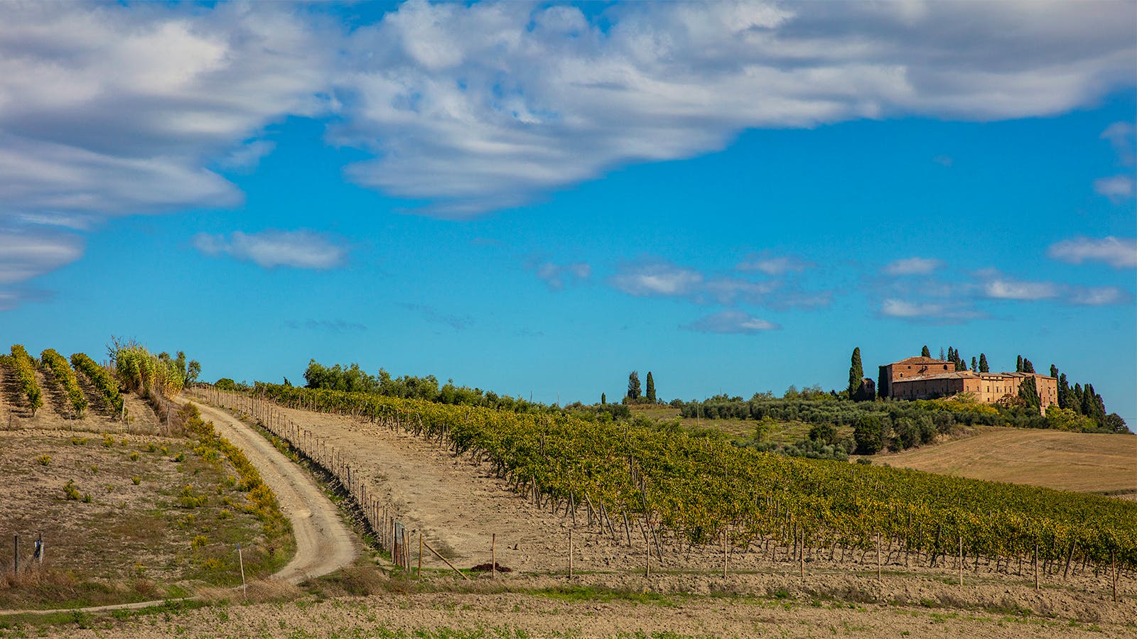 12 Outstanding Global Wines Up to 93 Points