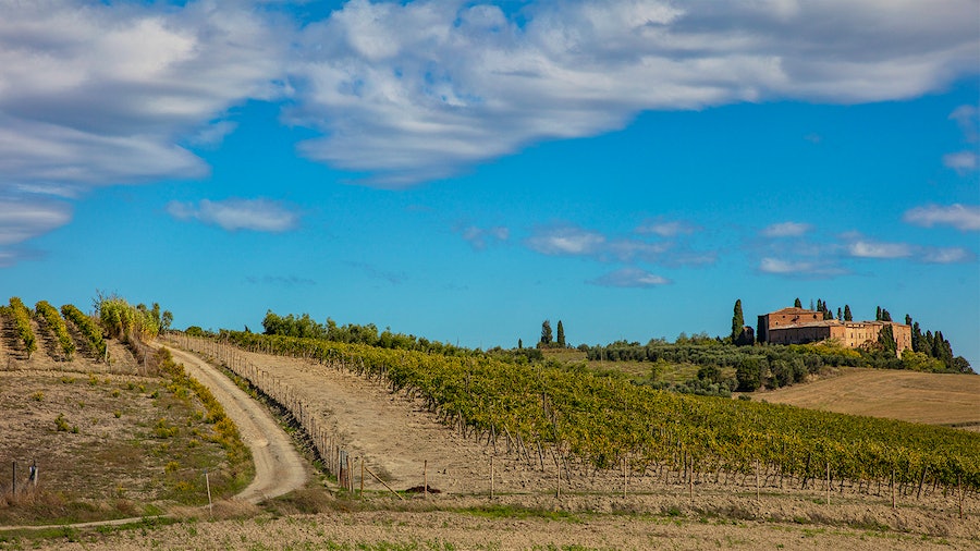 Chianti Classico's Dievole is one of the worldwide estates owned by leading wine entrepreneur Alejandro Bulgheroni.