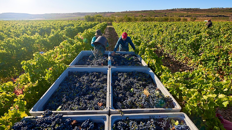 10 Outstanding Spanish Wines Up to 93 Points