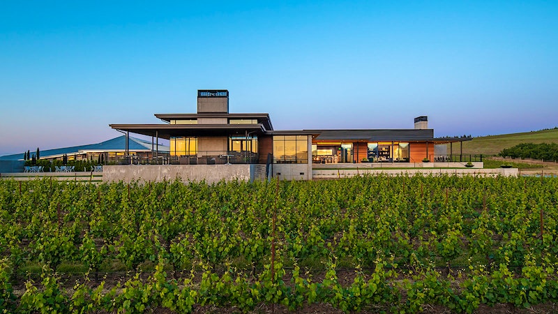 10 Distinctive West Coast Pinot Noirs at 90+ Points