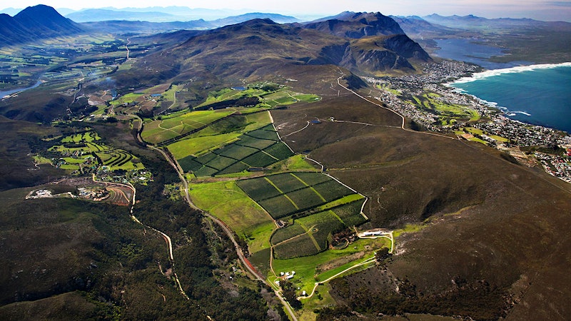 8 South African Values for $18 or Less