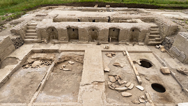 Unearthing a Showpiece Winery of Ancient Rome’s Elite