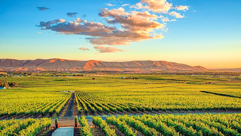 Alphabetical Guide to Washington Wines