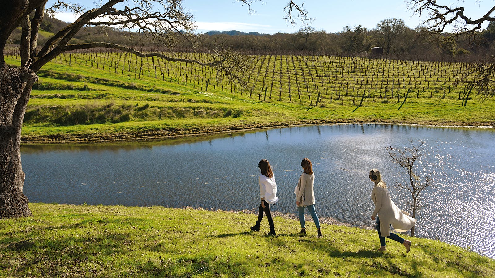Wellness amid the Vines