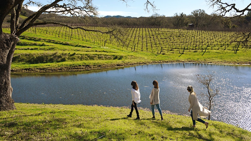 Wellness amid the Vines