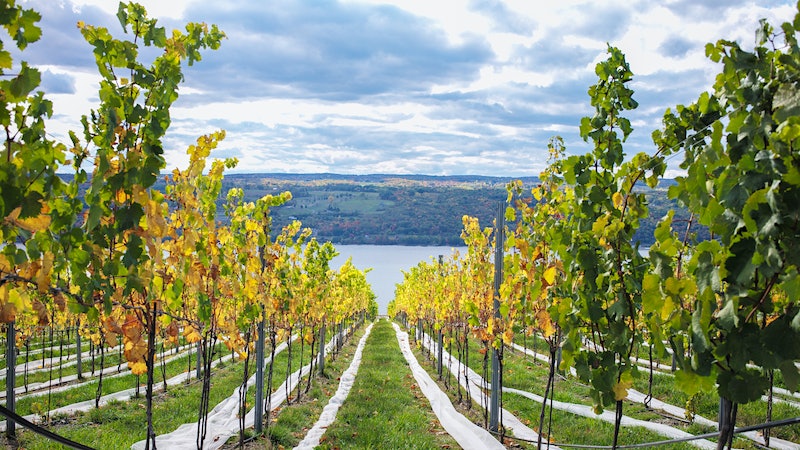 Hillick & Hobbs: The Newest Rising Star in the Finger Lakes