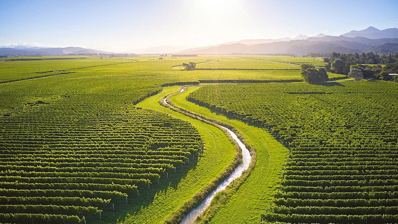 New Zealand’s New Normal