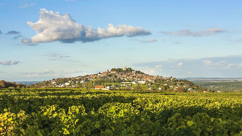 Why Americans Love Sancerre